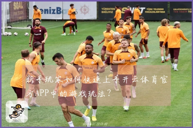 新手玩家如何快速上手开云体育官方APP中的游戏玩法？